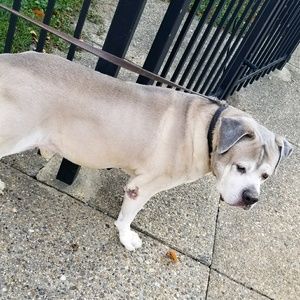 Meet your Posher, Robert